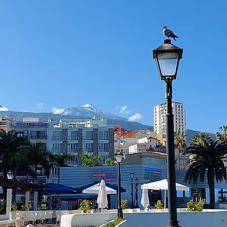 La Hoya 11 Lejlighed